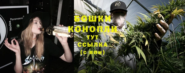 apvp Зеленокумск