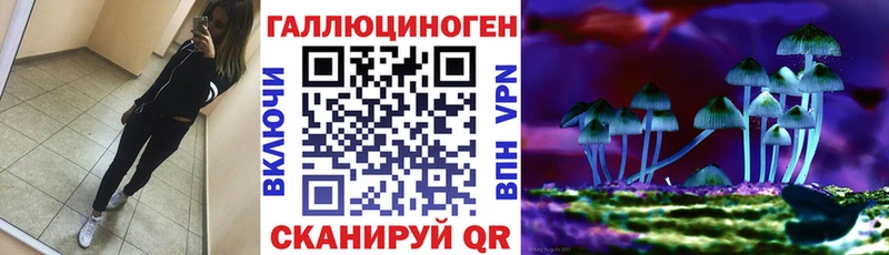 Купить где  Кольчугино  Псилоцибиновые грибы мицелий 